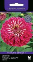Цинния Гиганты Бенари Парпл 10шт