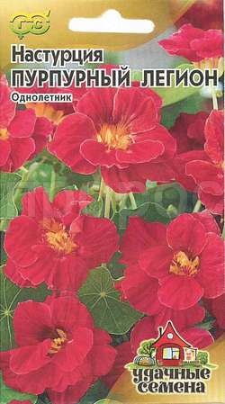 Настурция Пурпурный легион махр. 1г Настурция Пурпурный легион махр. 1г