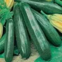 Кабачок Ажур Вороной F1 1г Кабачок Ажур Вороной F1 1г