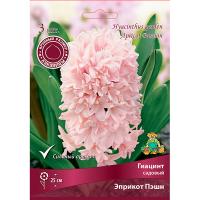 Гиацинт Эприкот Пэшн Гиацинт Эприкот Пэшн