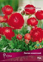 Лютик азиатский Ред 7-8 10шт