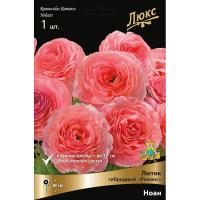 Лютик гибридный Романс Ноан /К 839687 Лютик гибридный Романс Ноан /К 839687