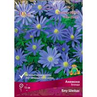 Анемона Бланда Блу Шейдс (5/6) 10 шт 839626 Анемона Бланда Блу Шейдс (5/6) 10 шт 839626