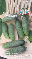 Огурец Моцарт F1 8шт Огурец Моцарт F1 8шт