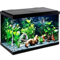Аквариум Nimbus 75,7л 614*322*422мм/Laguna/73534026