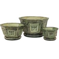 Бонсайка из 3-х зеленый