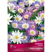 Анемона Бланда смесь (5/6) 10 шт Анемона Бланда смесь (5/6) 10 шт