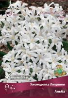 Хионодокса Люцилии Альба 10шт (5/6) 817456
