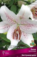 Лилия Восточная Экстраваганза 3 шт 