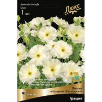 Лютик гибридный Батерфляй Грация /К 839676 Лютик гибридный Батерфляй Грация /К 839676