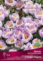 Крокус Крупноцветковый Страйпт Бьюти (10шт, 7/8) 839667 Крокус Крупноцветковый Страйпт Бьюти (10шт, 7/8) 839667