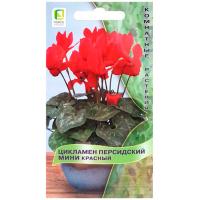 Цикламен персидский мини Красный 2шт
