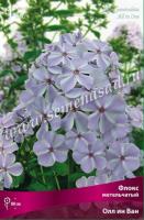 Флокс метельчатый Олл ин Ван (I) 1шт  Флокс метельчатый Олл ин Ван (I) 1шт