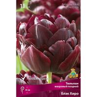 Тюльпан Махровый поздний Блэк Хиро (чёрный, 7шт, 11/12) 833145 Тюльпан Махровый поздний Блэк Хиро (чёрный, 7шт, 11/12) 833145