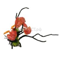 Грот Decor 206 Коряга с растением 27*22*24см