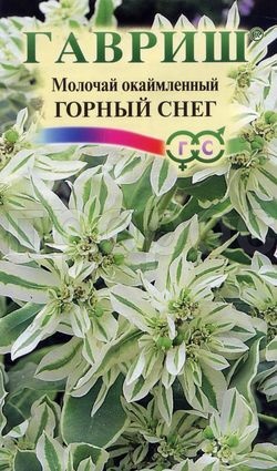 Молочай Горный снег 0,5г Молочай Горный снег 0,5г