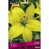 Лилия Азиатская Мона (14/16) 2шт