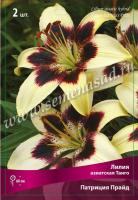 Лилия Азиатская Танго Патриция Прайд 