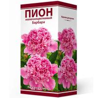 Пион молочноцветковый Барбара (1шт,2-3) 