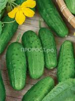 Огурец Журавленок F1 2г 