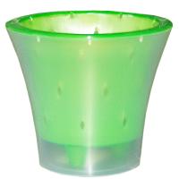 Кашпо для орхидей Ванда 6л прозрачный с зеленой вставкой ВД25-03