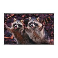 Коврик придверный 50*80см Velur "Веселые еноты" влаговпитывающий