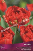 Тюльпан Махровый поздний Миранда (11/12) 10 шт