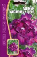 Адениум Фиолетовый Город 3 шт