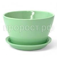 беллита ффист