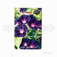 Ипомея Синий бархат 20 1 Каприс