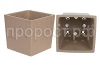 квадро фраппе