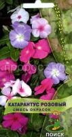Катарантус розовый Смесь окрасок