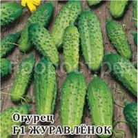 Огурец Журавленок F1 25 г Огурец Журавленок F1 25 г