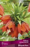 ryabchik_impera_villiam_rex_kaper ryabchik_impera_villiam_rex_kaper