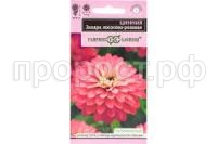 Без названия (1)