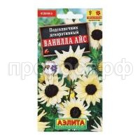 подсолнечник ванилла подсолнечник ванилла