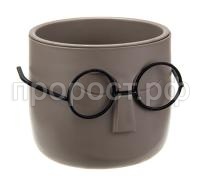 стив фр с стив фр с