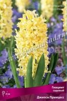 Джипси Принцесс