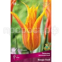 Ванде-Глоб Ванде-Глоб