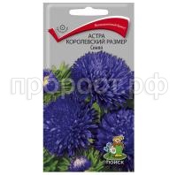 Астра-королевский-размер-Синяя-0,1г-Поиск