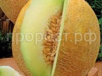 Дыня Южанка 25 г