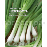 Лук батун Нежность 5г XXXL Лук батун Нежность 5г XXXL