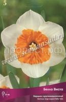 Нарцисс  Белла Виста Нарцисс  Белла Виста