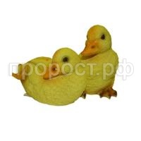 утята1 утята1