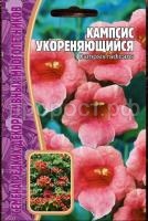 Кампсис укореняющийся 7 шт Кампсис укореняющийся 7 шт