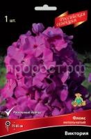 Флокс метельчатый Виктория Флокс метельчатый Виктория