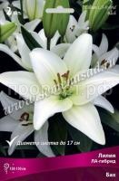 Лилия ЛА-Гибрид Бах (14-16) 2 шт 736156