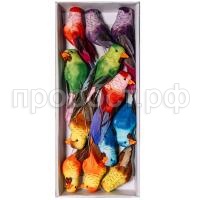 попугаи попугаи