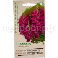 Без названия (2)