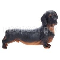 www-267840-700x700 www-267840-700x700